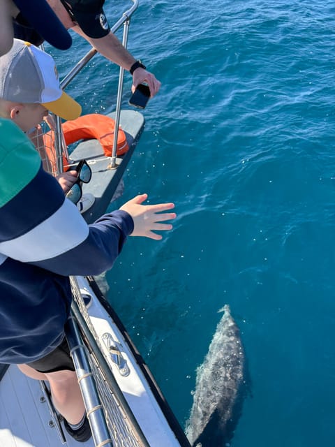 Estepona: Dolphins Searching Sea Cruise With Drink & Snacks - Booking and Reservation