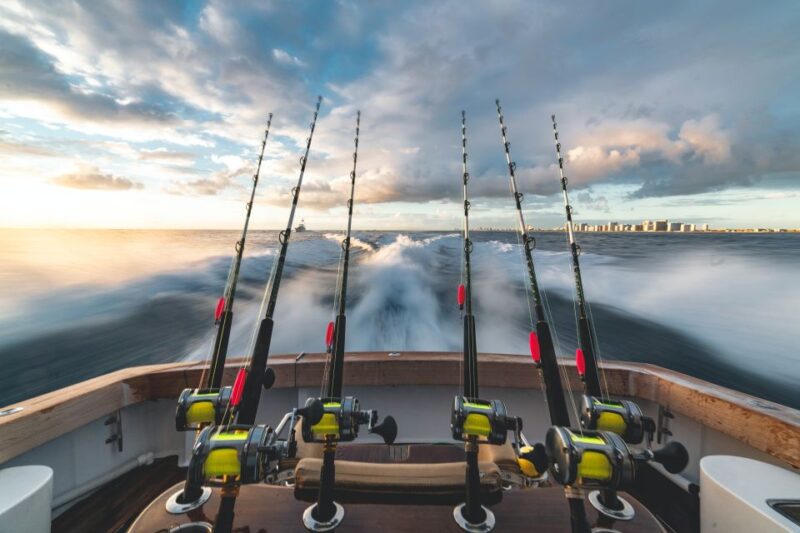 Estepona: Fishing Tour Start Fisher 1060 - Inclusions and Amenities