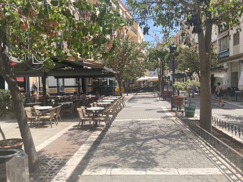 Estepona: Harbor Tour and Tapas Tasting in Estepona Old Town - Meeting Point and Accessibility