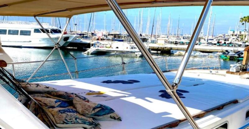 Estepona: Sea Cruise in Search of Dolphins/Drink & Snacks - Key Points
