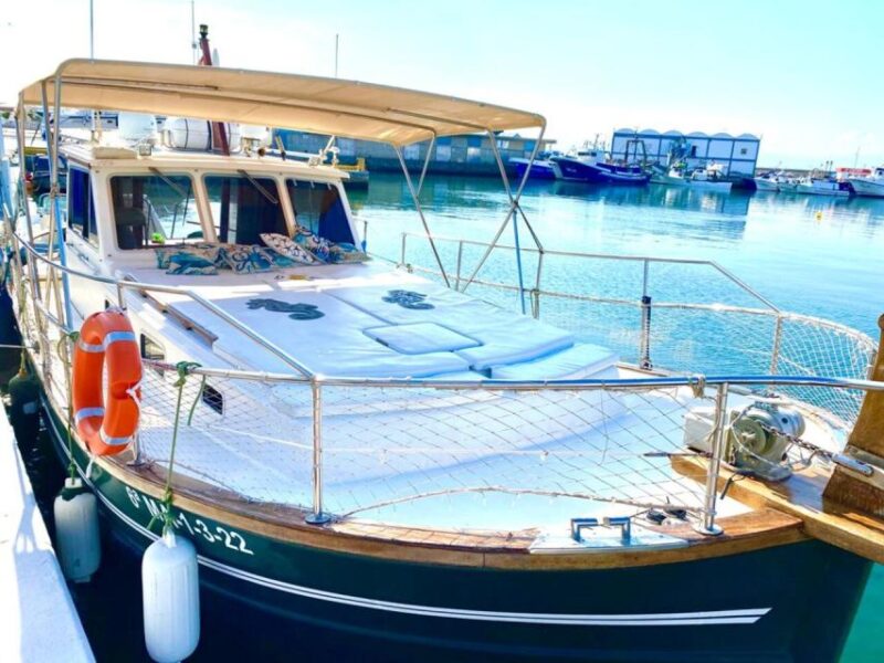 Estepona: Sea Cruise in Search of Dolphins/Drink & Snacks - Inclusions and Amenities