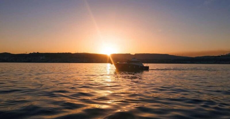 Estepona: Sunset Cruise in Search of Dolphins/Drink & Snacks - Experience Highlights