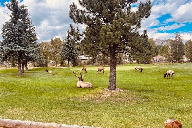 Estes Park Family E-Bike Tour - Breathtaking Views and Fun Riding