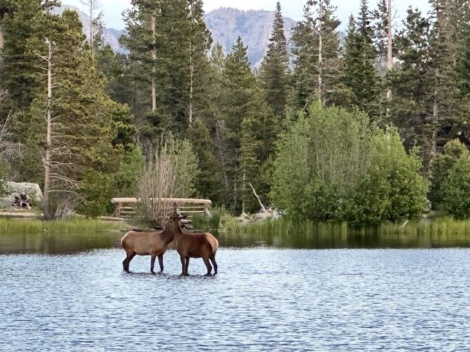 Estes Park: Rocky Mountain National Park Glass-Top Bus Tour - Explore the Alpine Visitor Center