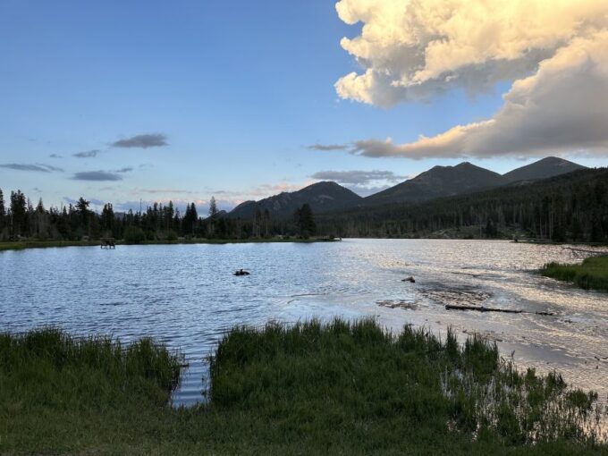 Estes Park: Rocky Mountain National Park Glass-Top Bus Tour - Experiencing Wildlife and Waterfalls