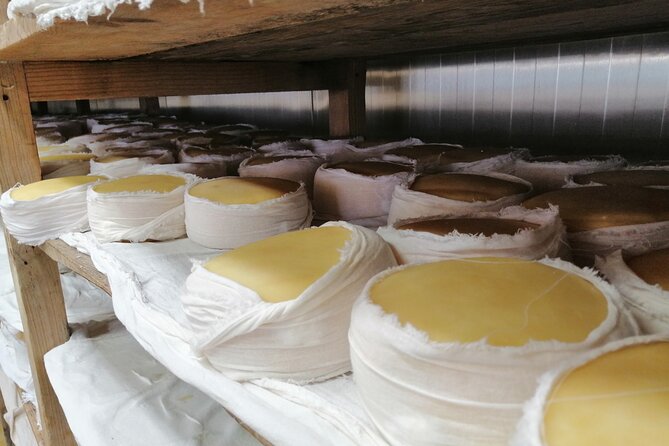 Estrela Mountain, Cheses, Wines and Olive Oils, Full-Day From Coimbra - Tour Details
