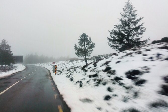 Estrela Mountain, Cheses, Wines and Olive Oils, Full-Day From Coimbra - Discovering Boas Quintas Winery