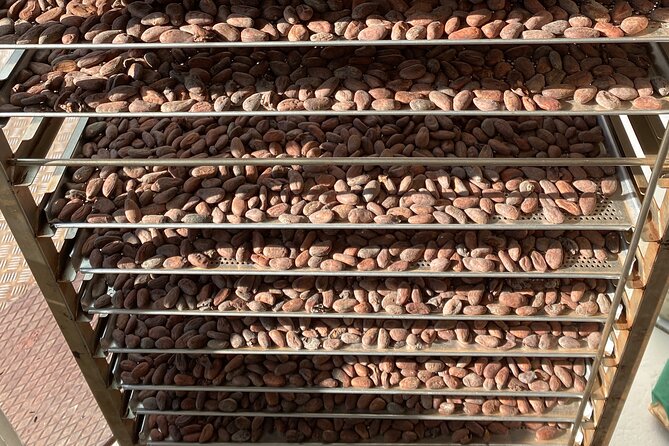 Ethical Chocolate Tour - Exploring Zurichs Ethical Chocolate Scene