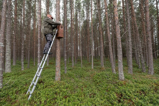 Ethical Tour Monitor Songbirds on Tromsø Island - Key Points
