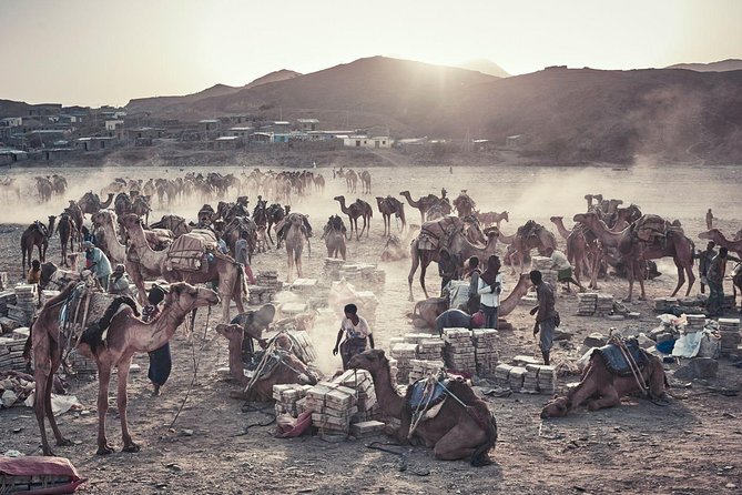 Ethiopian Tours To Danakil Depression & North With Omo Valley Tribes 15 Days - Pickup and Transportation