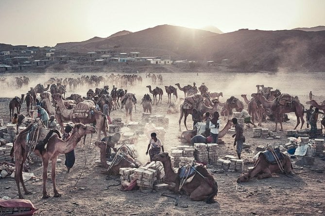 Ethiopian Tours To Danakil Depression & North With Omo Valley Tribes 15 Days - Traveler Information