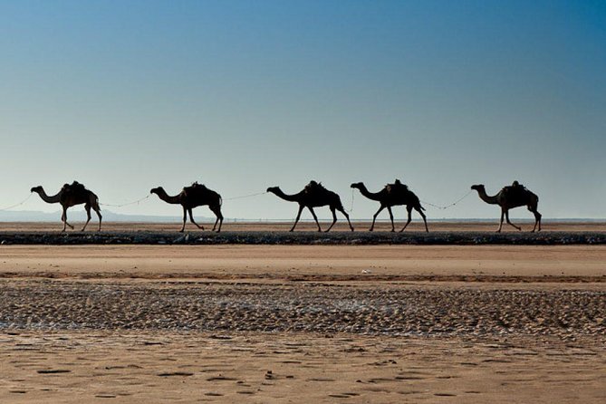 Ethiopian Tours To Danakil Depression & North With Omo Valley Tribes 15 Days - Additional Information