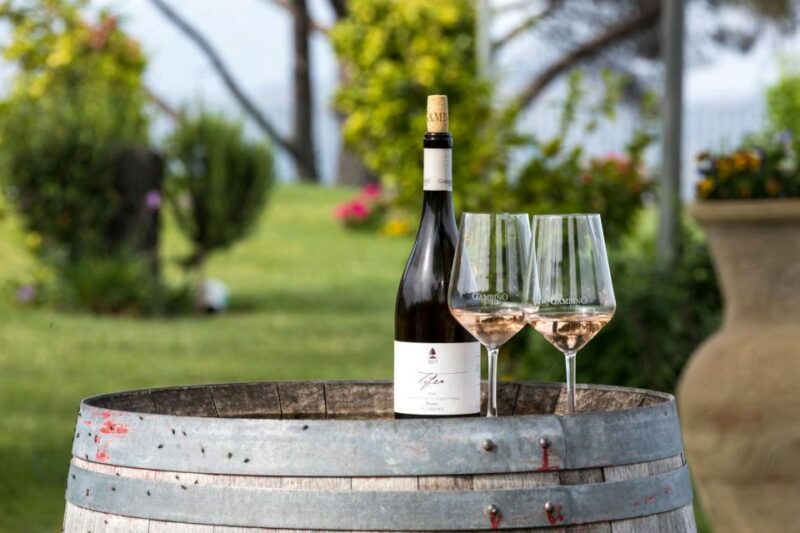 Etna 4x4 & Wine Tasting Tour - Itinerary Details