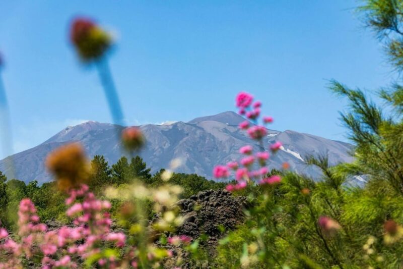 Etna 4x4 & Wine Tasting Tour - Participant Restrictions