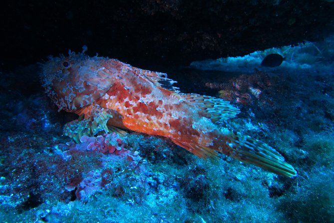 Etna & Diving Jeep Tour - About Your Stay