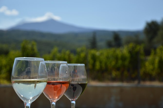 Etna DOC & Organic Wine Tasting and Tour of the 1815 Historic Winery - Culinary Experiences Offered