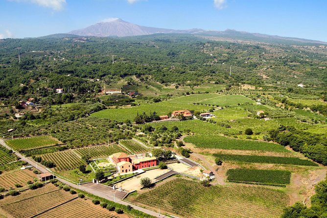 Etna DOC & Organic Wine Tasting and Tour of the 1815 Historic Winery - Wine Tasting and Sampling