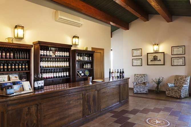 Etna DOC & Organic Wine Tasting and Tour of the 1815 Historic Winery - Logistics and Meeting Point