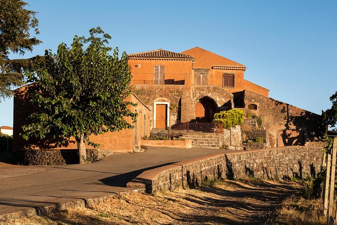 Etna DOC & Organic Wine Tasting and Tour of the 1815 Historic Winery - Activity Accessibility