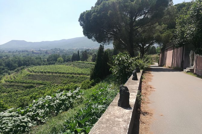 Etna Excursion and Lunch - Wine Tasting in Etna DOC Vinery - Hiking Through Lava Flows