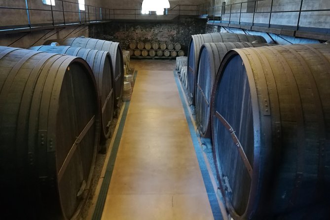 Etna Excursion and Lunch - Wine Tasting in Etna DOC Vinery - Pickup and Meeting Details