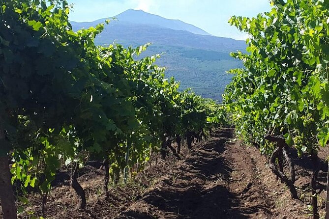 Etna Excursion and Wine Tasting With Sicilian Lunch - Accessibility and Confirmation