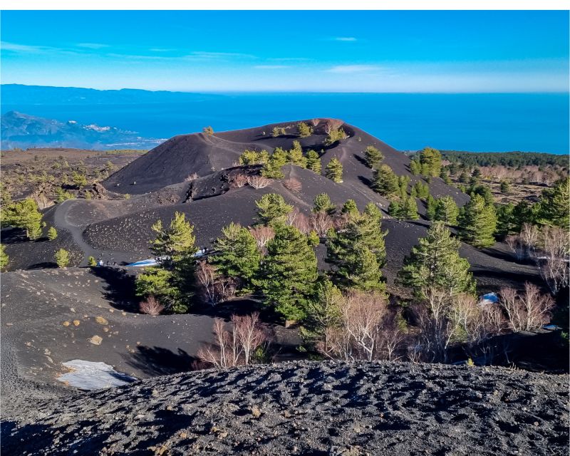 Etna Excursion From Catania - Customer Reviews and Feedback
