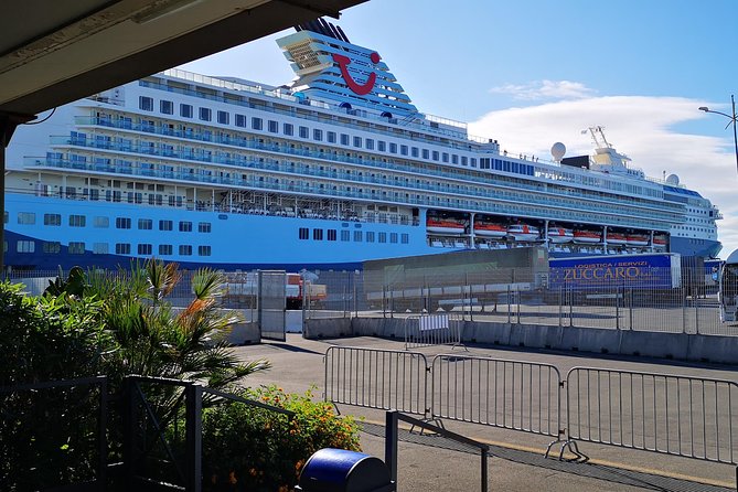 Etna Excursion From Catania Terminal Cruise -Tui -H. AMERICA - COSTA All Cruises - Pricing and Booking Information