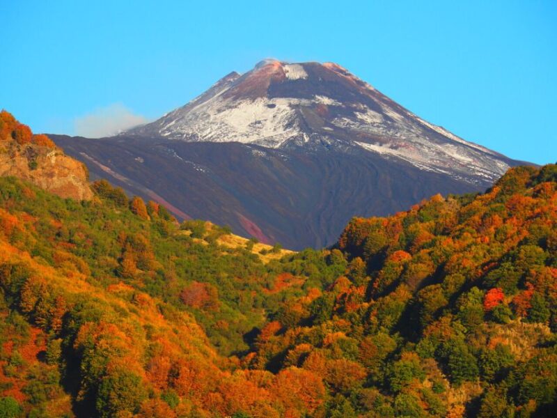 Etna: Guided Tour to the Summit Craters - North Slope - Experience Highlights