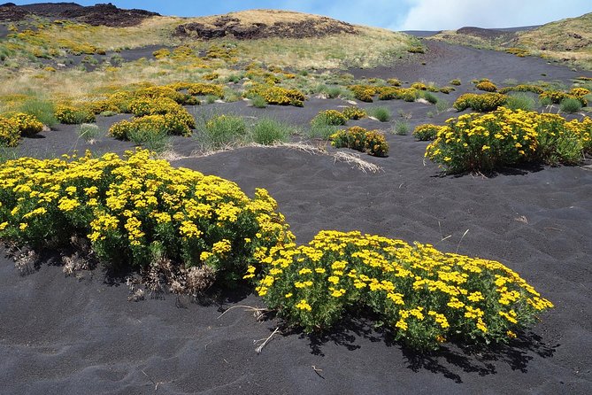 Etna in 4x4 & Sicilian Food Experience. Private Tours - Tour Reviews and Ratings