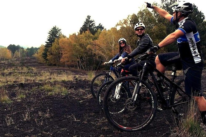 Etna in MTB Half Day Small Group - Included Features