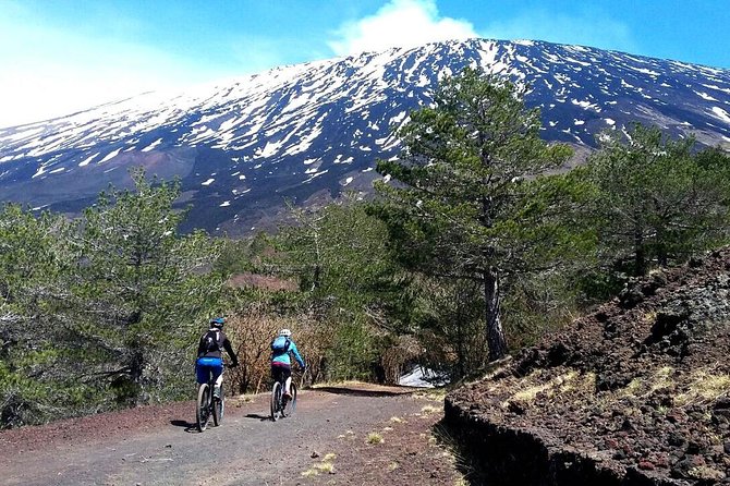 Etna in MTB Half Day Small Group - Tour Highlights