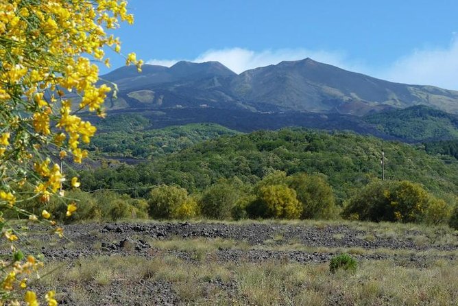 Etna Morning Tour From Syracuse - Tour Highlights