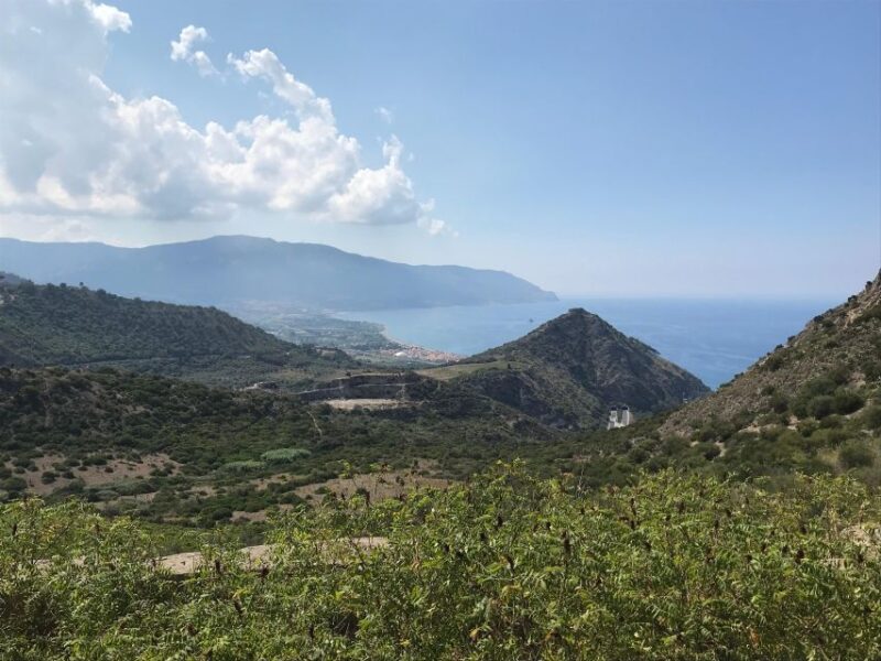 Etna: Mountainbike Tour - Experience Highlights