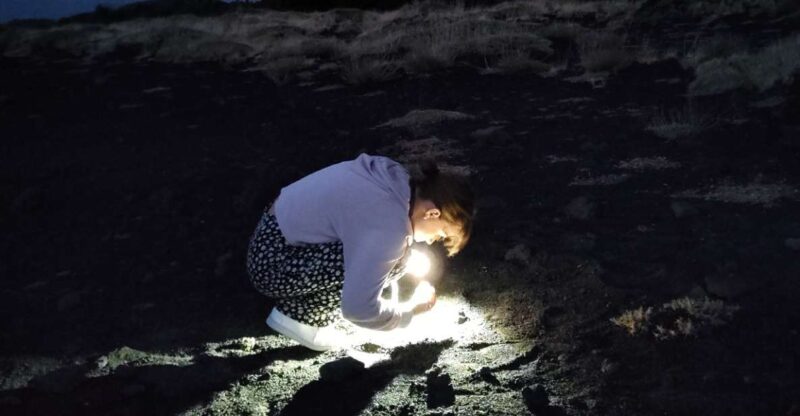 Etna Night Trekking - Experience Highlights
