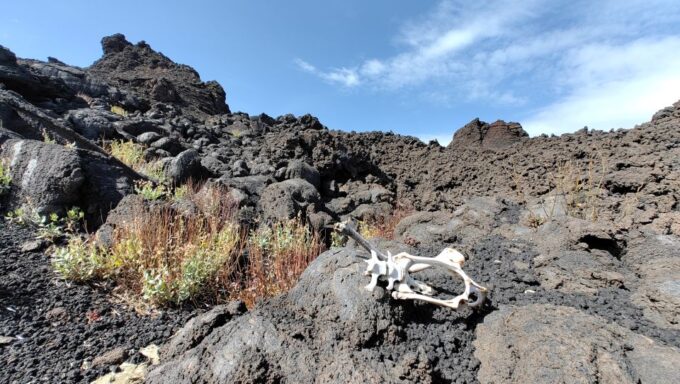 Etna Night Trekking - Exploring Europes Largest Volcano