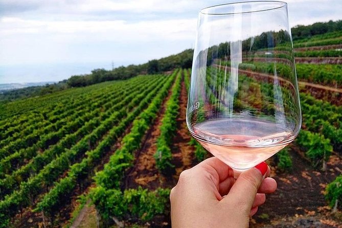 Etna Panoramic Private Tour+Wine Taste&Food Combination(Amazing) - Whats Included