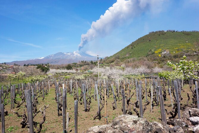 Etna Private Tour From Messina Cruise Terminal + Lunch at Winery - Customer Feedback and Experiences