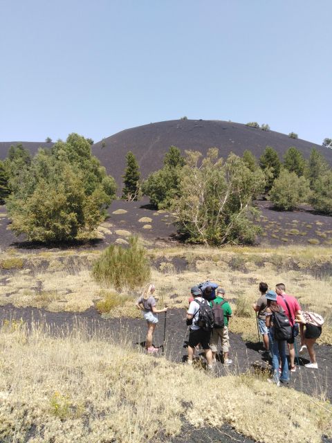 Etna: Private Tour With Wine Tasting and Lunch - Gambino Winery Experience