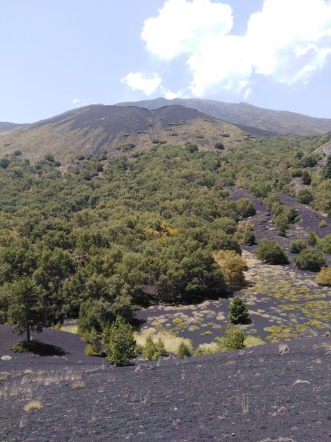 Etna: Private Tour With Wine Tasting and Lunch - Transportation and Logistics