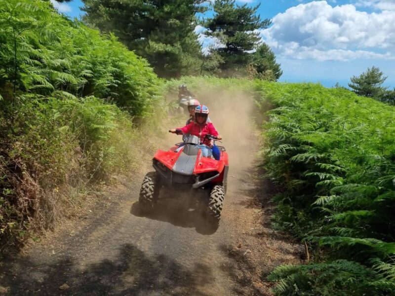 Etna Quad Tour With Private Transport - Frequently Asked Questions