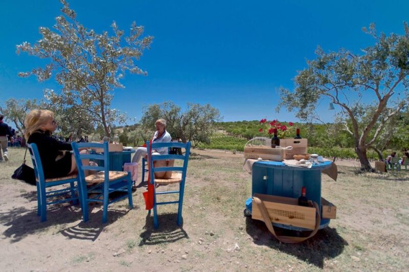 Etna Quad & Wine Combo Private Tour - Important Information