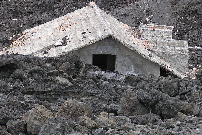 Etna Tour and Wine Tasting in the Cellar - Luxury Transportation for the Etna Tour