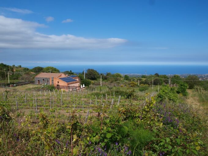 Etna: Tour in a Vintage Car With Cooking Class and Pickup - Frequently Asked Questions