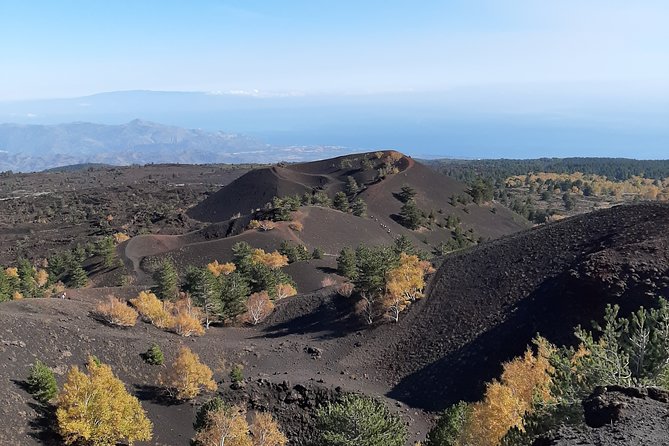 Etna Tour Jeep Excursion and Trekking - Reviews and Ratings