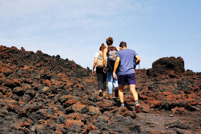 Etna Trekking and Wine Tasting - Wine Tasting Highlights