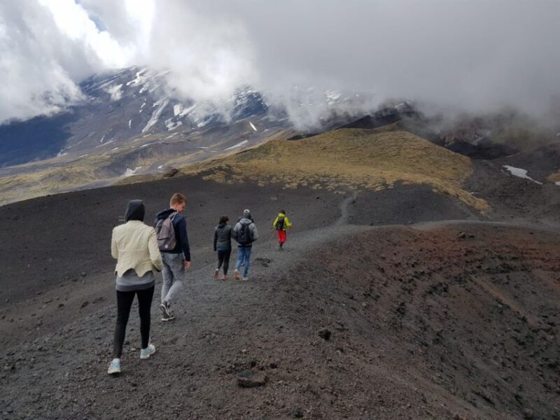 Etna Trekking Half Day - Guided Experience