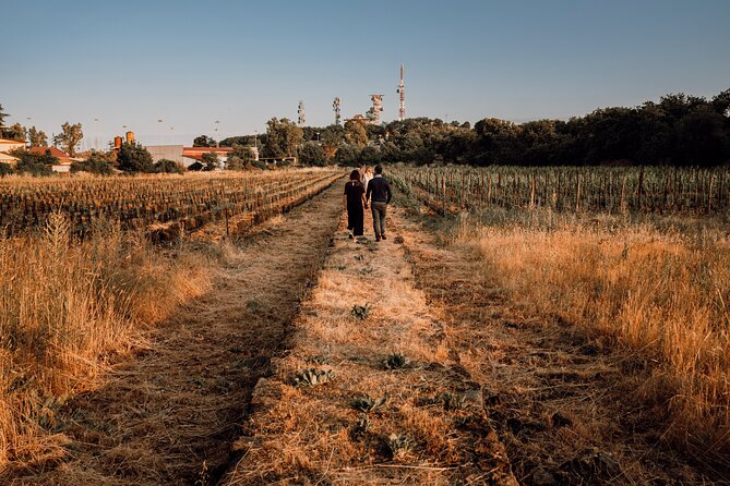 Etna Urban Winery - Sunset Vineyard Walk and Tasting Experience - Tasting Experience Inclusions