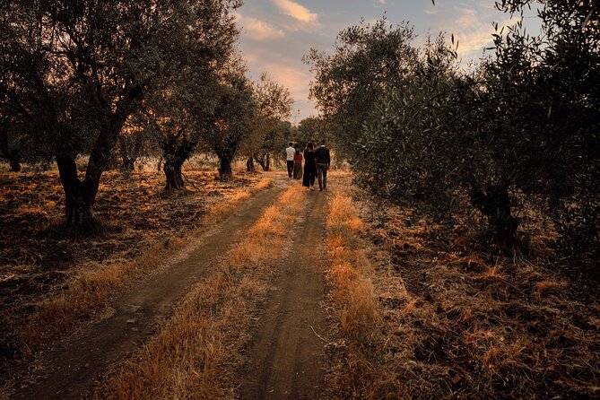 Etna Urban Winery - Sunset Vineyard Walk and Tasting Experience - Cancellation Policy