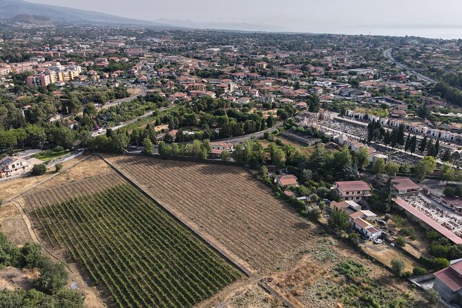 Etna Urban Winery - Tasting With Street Food Platter and Vineyard - Inclusions in the Package